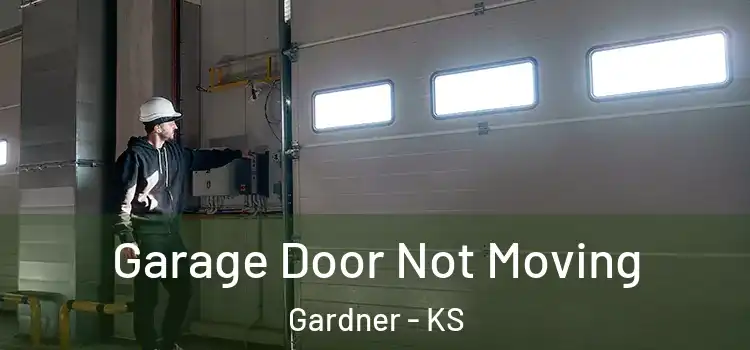  Garage Door Not Moving Gardner - KS