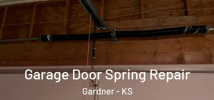  Garage Door Spring Repair Gardner - KS